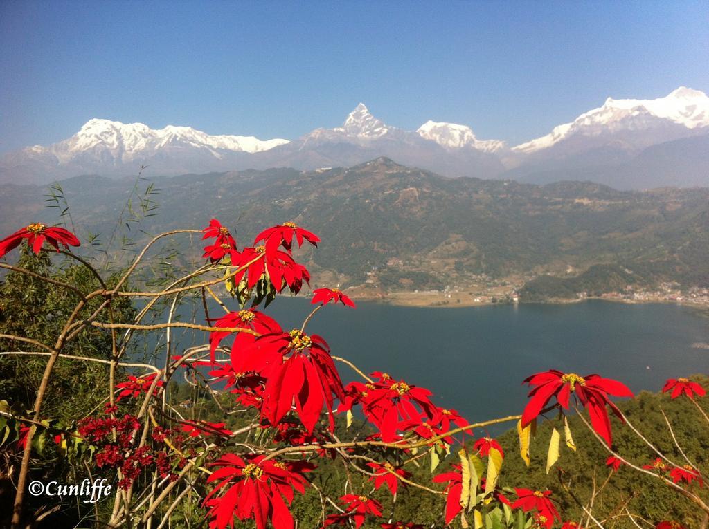 Peace Dragon Lodge Pokhara Luaran gambar